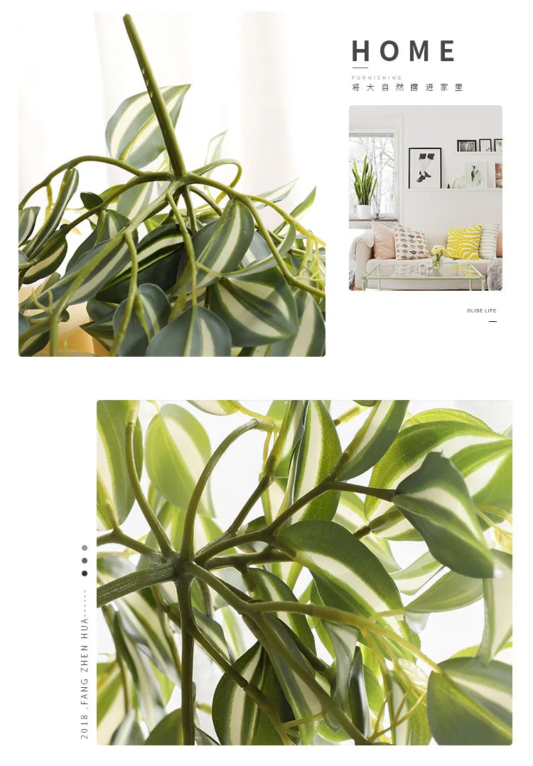 Dlight Decor Scindapsus Vine for Wall Hanging and Garden Styling