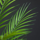 Dlight Decor 88cm Tropical Palm Monstera Plant with 18 Forks for Floor and Event Decor