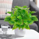 Dlight Decor 50cm Scindapsus Green Plant for Indoor Floor Display