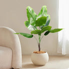 Dlight Decor 78cm Tall Tropical Monstera Plant with Banana Leaves