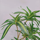 Dlight Decor 75cm Palm Tree with Real Touch Leaves 75cm