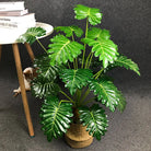 Dlight Decor White Monstera Palm for Bold Floor Styling