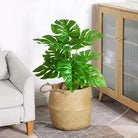 Dlight Decor 53cm Monstera Palm Plant with Turtle Leaves for Home and Party Decor