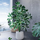 Dlight Decor Palm Plant for Natural Indoor Outdoor Charm