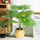 Dlight Decor Large Palm Tree 55 to 95cm Tropical Plant