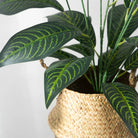 Dlight Decor 76cm Tropical Magnolia Palm Branch with 26 Leaves