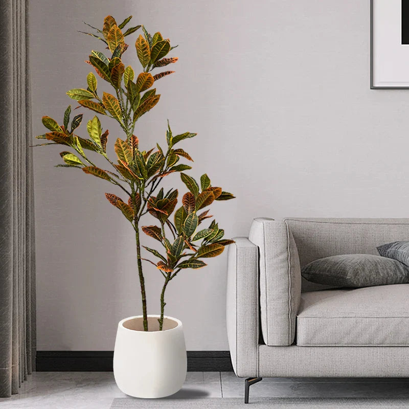 Dlight Decor Codiaeum Ficus Tree for Tropical Indoor Floor Decor