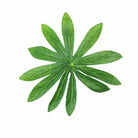 Dlight Decor Fatsia Palm Plant for Tropical Indoor Outdoor Styling 85cm 15Leaves