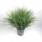 Dlight Decor Onion Grass Bunch for Natural Green Wall and Home Decor