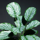 Dlight Decor Monstera Palm Branch for Tropical Home Styling A