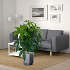 Dlight Decor Monstera Tree for Lush Indoor Outdoor Vibe