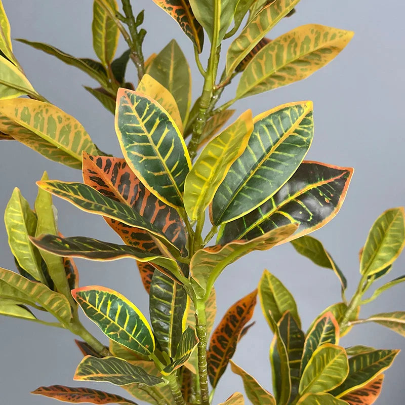 Dlight Decor Codiaeum Ficus Tree for Tropical Indoor Floor Decor