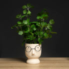 Dlight Decor 33cm Four Leaf Clover Plant with Bell Tree Leaves for Home and Party Decor