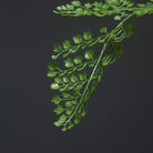 Dlight Decor 88cm Tropical Palm Monstera Plant with 18 Forks for Floor and Event Decor