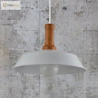 Ava’s Versatile Retro Pendant Light Lighting