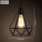 Catherine - Adjustable Industrial Pendant Light With Metal Cage (Various Shapes)