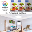 Circular Ultra - Thin Led Ceiling Lamp - Ideal For Bedroom Balcony Hallway Study And Bathroom Three