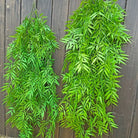 Dlight Decor 105cm Hanging Bamboo Leaf Vine for Garden and Home Wall Decor