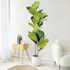 Dlight Decor 113cm Tropical Ficus Tree with Rubber Style Leaves