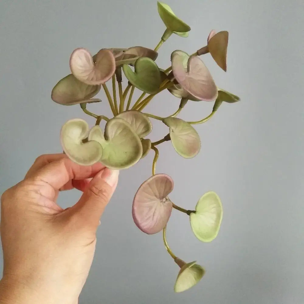 Dlight Decor 15cm Lucky Grass Foliage Bouquet for Home and Bonsai Decor Fen Tongqian