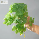 Dlight Decor 25cm Monstera Leaf Vine for Desktop and Holiday Decor