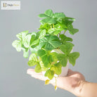 Dlight Decor 25cm Monstera Leaf Vine for Desktop and Holiday Decor