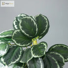 Dlight Decor 25cm Monstera Leaf Vine for Desktop and Holiday Decor