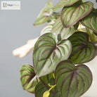 Dlight Decor 25cm Monstera Leaf Vine for Desktop and Holiday Decor