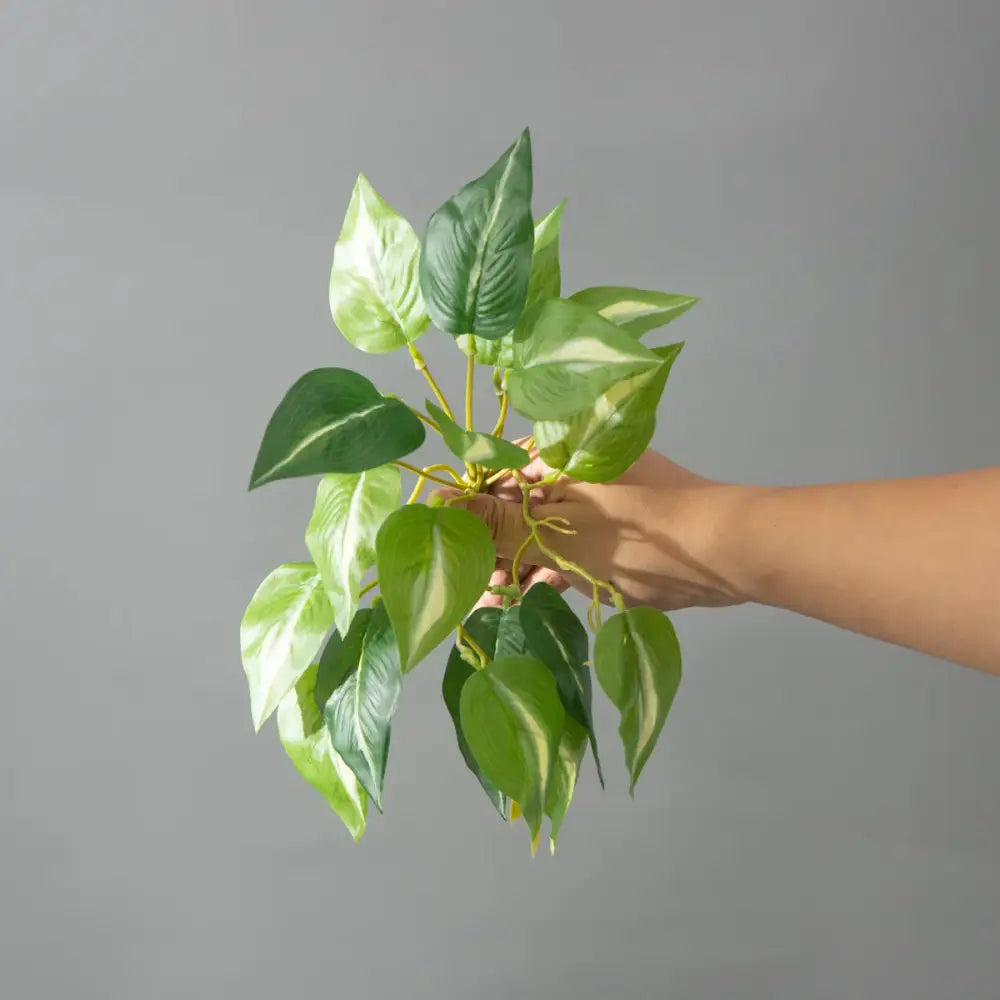 Dlight Decor 25cm Monstera Leaf Vine for Desktop and Holiday Decor C