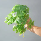 Dlight Decor 25cm Monstera Leaf Vine for Desktop and Holiday Decor E