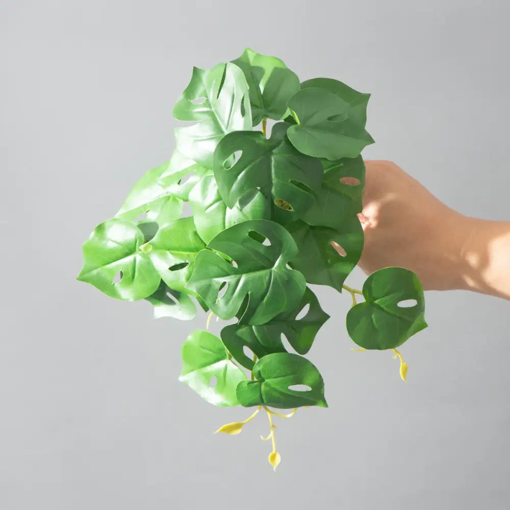 Dlight Decor 25cm Monstera Leaf Vine for Desktop and Holiday Decor H