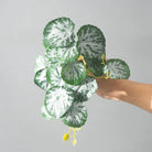 Dlight Decor 25cm Monstera Leaf Vine for Desktop and Holiday Decor J