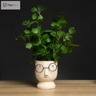 Dlight Decor 33cm Four Leaf Clover Plant with Bell Tree Leaves for Home and Party Decor