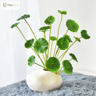 Dlight Decor 37cm Lotus Eucalyptus Leaf Plant with Copper Accents for Home and Office Decor 37cm 18Leaves