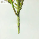 Dlight Decor 41cm Banyan Ficus Palm Branch with Codiaeum Leaves