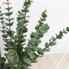 Dlight Decor 42cm Eucalyptus Branches with Money Leaves Set