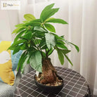 Dlight Decor 43cm Potted Monstera Money Tree for Home and Garden Decor 43cm