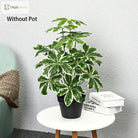 Dlight Decor 65 to 75cm Tropical Monstera Plant with Turtle Leaves