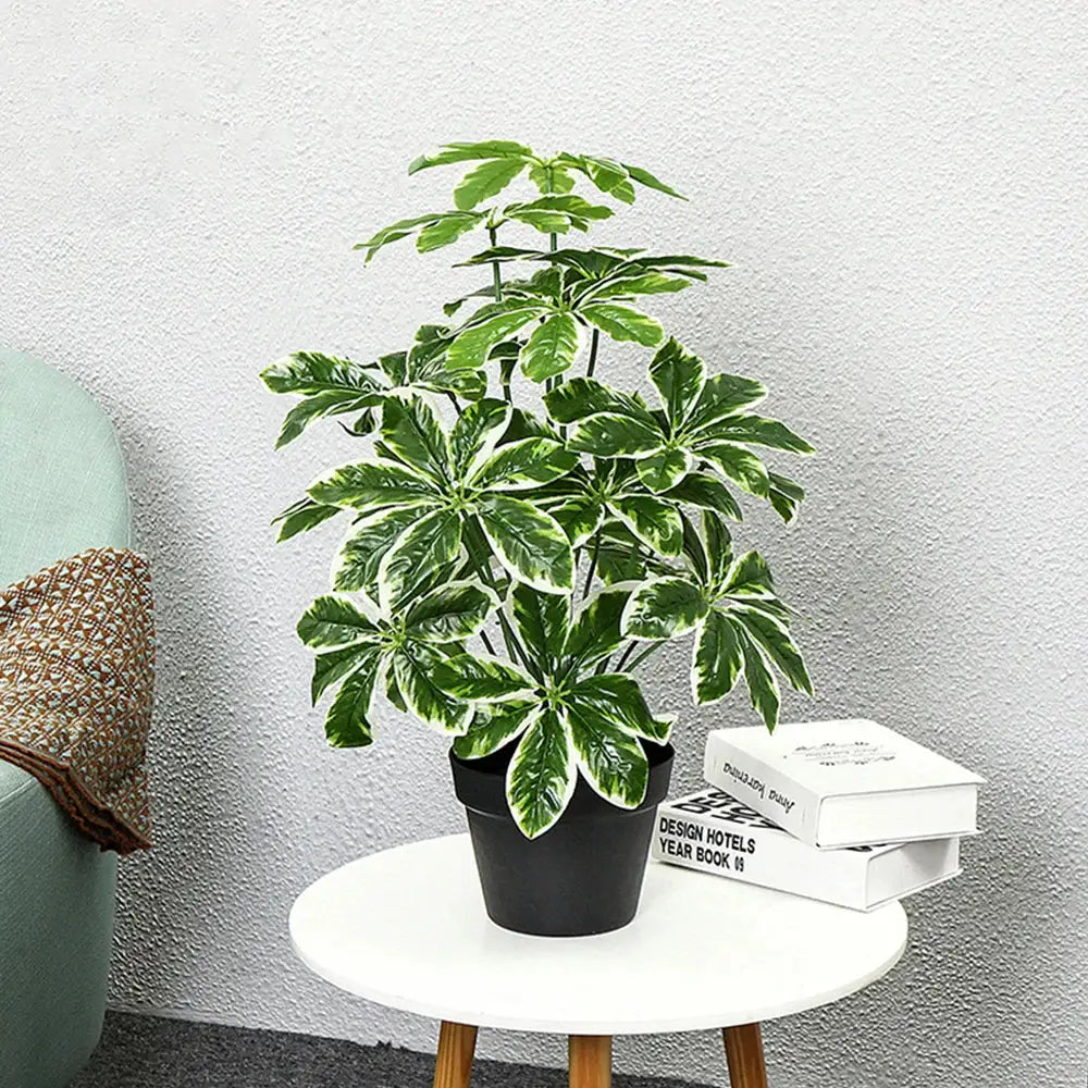 Dlight Decor 65 to 75cm Tropical Monstera Plant with Turtle Leaves