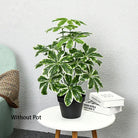 Dlight Decor 65 to 75cm Tropical Monstera Plant with Turtle Leaves white / 65cm 18Leaves