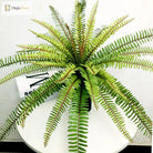 Dlight Decor 65cm Tropical Persian Palm Fern with Hanging Leaves