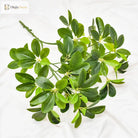 Dlight Decor 73cm Tropical Ficus Palm Tree Branch with Monstera Leaves