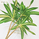 Dlight Decor 75cm Palm Tree with Real Touch Leaves 75cm