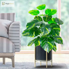 Dlight Decor 75cm Tropical Monstera Plant 24 Leaves