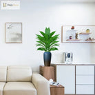 Dlight Decor 76cm Magnolia Banyan Leaf Branch with Green Sansevieria Accents