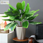 Dlight Decor 78cm Tall Tropical Monstera Plant with Banana Leaves