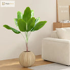 Dlight Decor 78cm Tall Tropical Monstera Plant with Banana Leaves