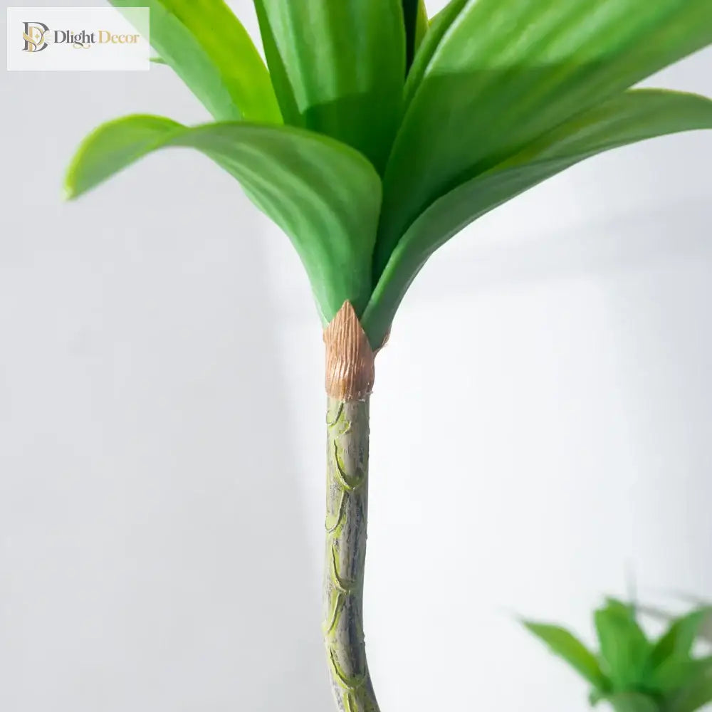 Dlight Decor Agave Succulent Plant for Home and Balcony Display