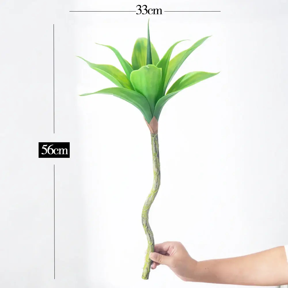 Dlight Decor Agave Succulent Plant for Home and Balcony Display 56cm