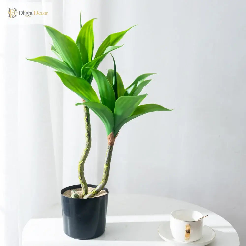 Dlight Decor Agave Succulent Plant for Home and Balcony Display